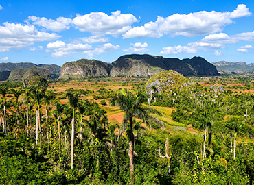 Taste of Cuba - Vinales Valley