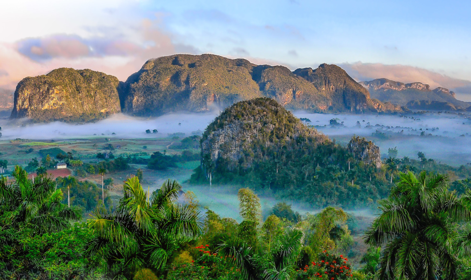 Vinales